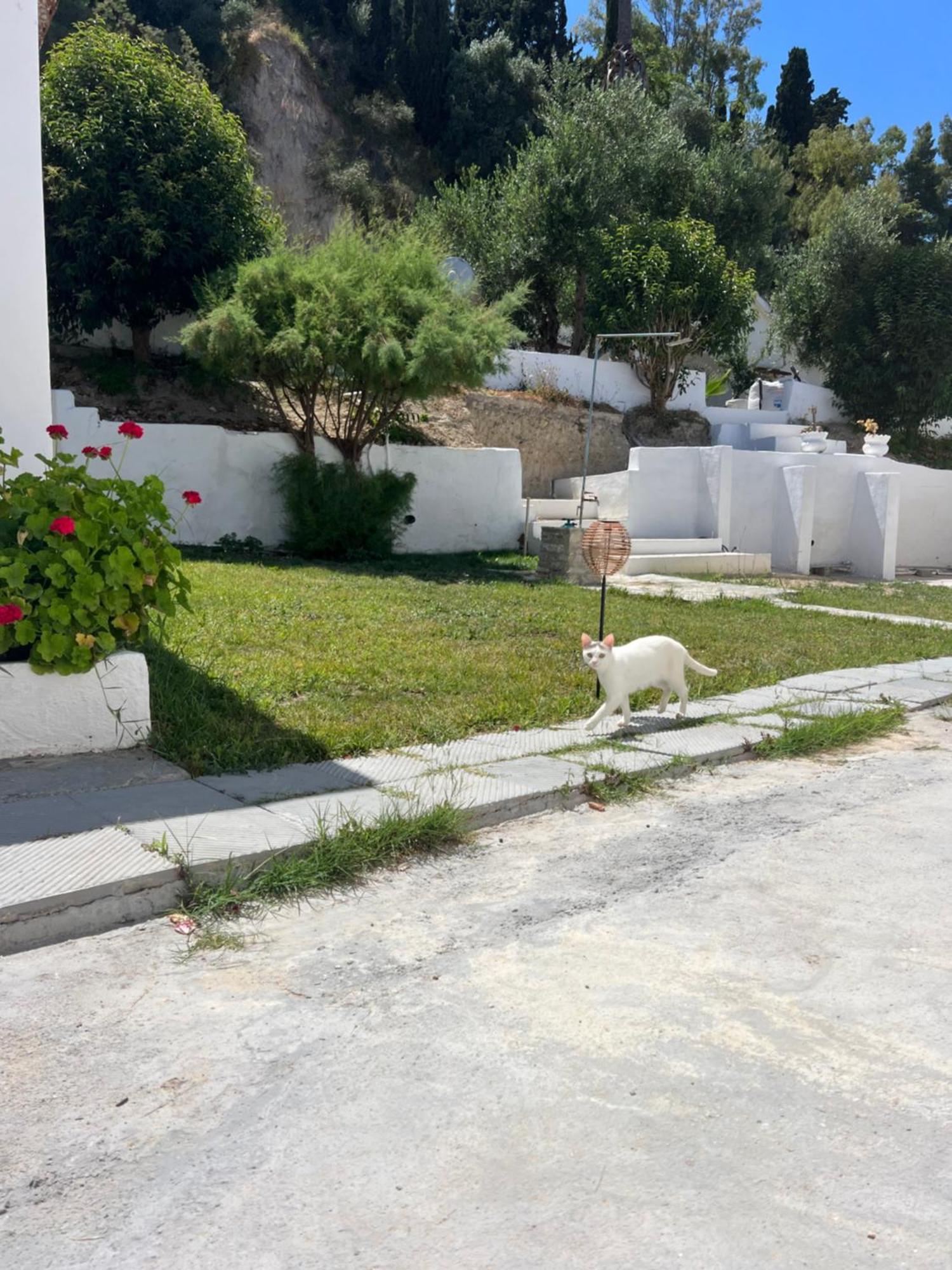 Artaki R Apartments Koróni المظهر الخارجي الصورة